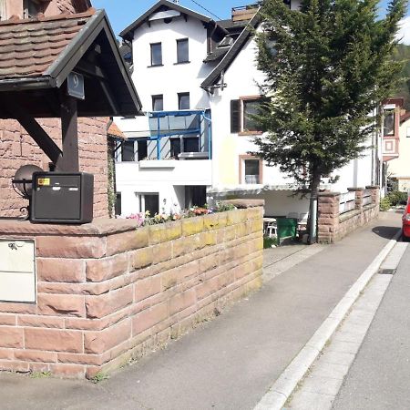Grosse Wohnung Im Odenwald 1 Schonau  Exteriér fotografie